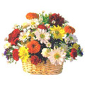 Send Flowers to Goa, Flowers to Goa