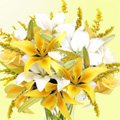 White Lily Flowers to Goa : Send Flowers to Goa : Flowers to Goa