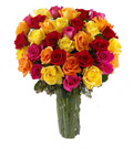 Valentine Flowers to Goa, Flowers to Goa