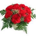 Flowers to Goa : Valentines Day Flowers to Goa