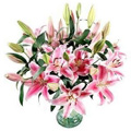 Send Flowers to Goa : Valentines Day Flowers to Goa