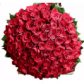 Valentines Day Flowers to Goa, Send Flowers to Goa